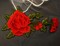 7.75" x 4.5" Red Iron On Embroidered Rose Patch Applique Pack of 12